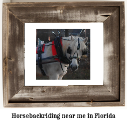 horseback riding Florida